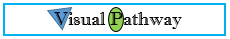 Visual Pathway logo